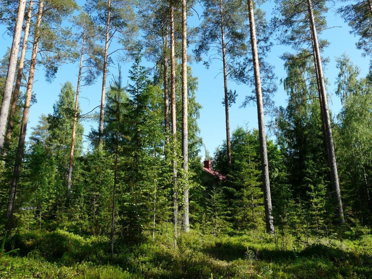 Good Life Homestay Ahmovaara Buitenkant foto