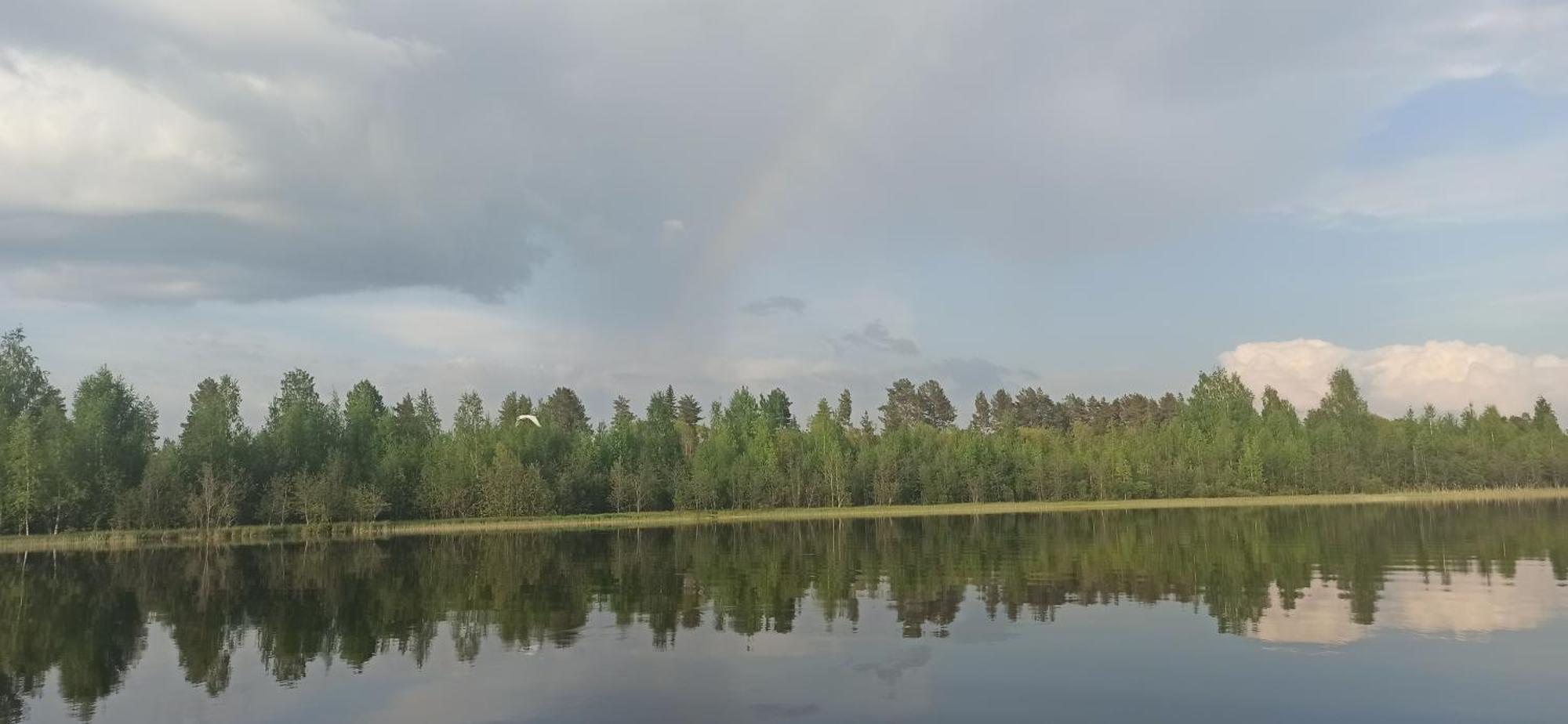 Good Life Homestay Ahmovaara Buitenkant foto
