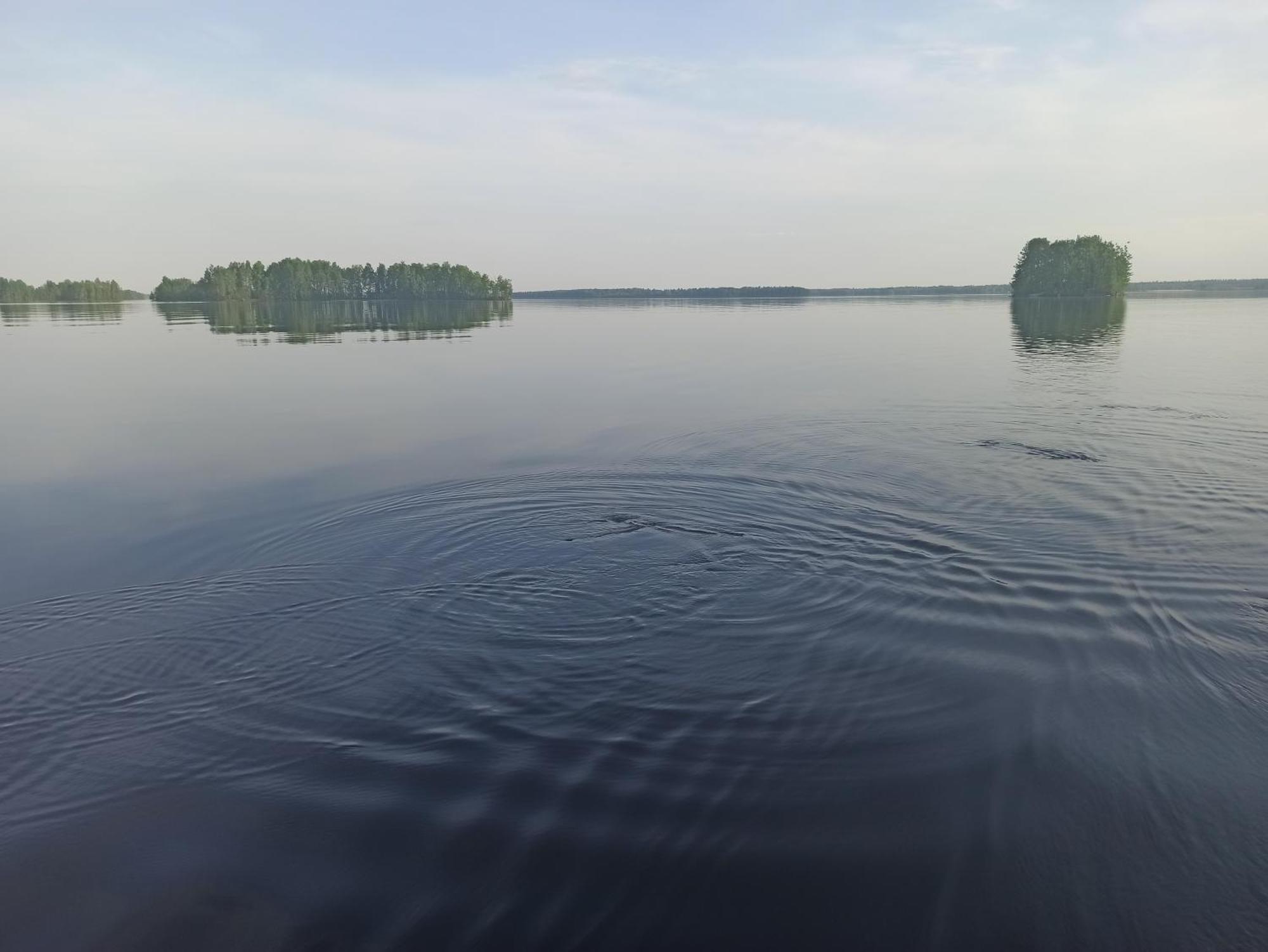 Good Life Homestay Ahmovaara Buitenkant foto